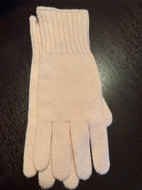 J.Jill Light Pink Cashmere Gloves NWT